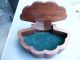 Hinged Solid Walnut Scallop Shell Box Boxes photo 1