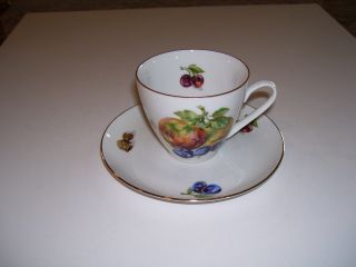 Czech Cup & Saucer With Fruits And Nuts photo