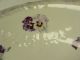 Vintage Wash Basin With Pansy Galatea E.  L.  F.  Co Some Crazeing 16 