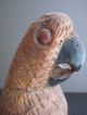 Old Folk Art Carved Parrot Statue Signed S.  V.  G. Carved Figures photo 4