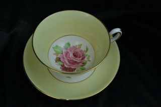 Rosina Cup And Saucer photo