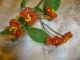 Victorian Beaded Bouquet Of 5 Beautifully Crafted Antique French Orange Flowers Other photo 1