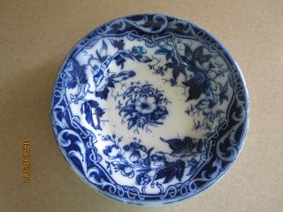 Antique,  August Nowotny Porcelain Bowl,  Deep Blue Flowers photo