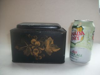 Antique Toleware Victorian Tea Canister Box Paint Grapes Old photo
