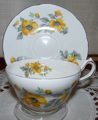 Fine Bone China Cup And Saucer Made By Royal Prince,  Fondeville,  England photo