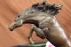 Bronze Marble Statue Western Art Cowboy Horse Rodeo Statue Figure Sculpture Art Metalware photo 9