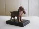 Antique Cast Iron Dog - Spaniel? Handpainted Mounted On Black Base Gc Hubley? Metalware photo 10