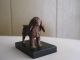 Antique Cast Iron Dog - Spaniel? Handpainted Mounted On Black Base Gc Hubley? Metalware photo 1