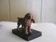 Antique Cast Iron Dog - Spaniel? Handpainted Mounted On Black Base Gc Hubley? Metalware photo 5