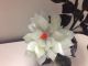 Chinese Cloisonne Agate,  Jade & Rose Quartz Flowers Tree (hand Made) - 16 