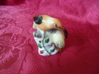 Herend 2 Birds On Flowers Warbler Bird Figurine Porcelain photo
