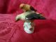 Herend 2 Birds On Flowers Warbler Bird Figurine Porcelain Figurines photo 2