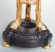 Pair French Ormolu - Bronze Table Lamps Mid 19th Ct. Lamps photo 2