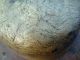 1800s Burl Bowl Wooden Treen Patina Ohio Or Pennsylvania Nr Primitives photo 4