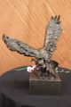 Bronze Eagle Hawk Falcon Osprey Kite Mascot Zoo Statue Sculpture Lost Wax Decor Metalware photo 9