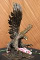 Bronze Eagle Hawk Falcon Osprey Kite Mascot Zoo Statue Sculpture Lost Wax Decor Metalware photo 2