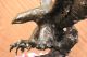 Bronze Eagle Hawk Falcon Osprey Kite Mascot Zoo Statue Sculpture Lost Wax Decor Metalware photo 8