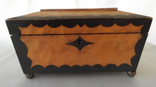 Fabulous Early 1800s British Colonial Walnut Document Box From Australia photo