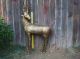 Vintage Life Size Antique All Brass,  Bronze Deer Statue Four Feet Tall 70lbs Metalware photo 1