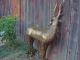 Vintage Life Size Antique All Brass,  Bronze Deer Statue Four Feet Tall 70lbs Metalware photo 8