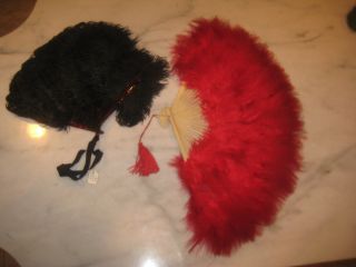 Ostrich Feather Fans Red And Black Spectacular Colors photo