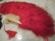 Ostrich Feather Fans Red And Black Spectacular Colors Other photo 1