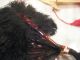 Ostrich Feather Fans Red And Black Spectacular Colors Other photo 3