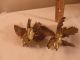 L@@k Vintage Pair Of Brass Roosters In Fighting Positions Metalware photo 11