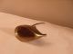 Vintage Brass Mouse Note Holder Metalware photo 2