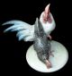 Rare German Rosenthal Vintage Hen And Rooster Figurine By K.  Himmelstoss Chicken Figurines photo 5
