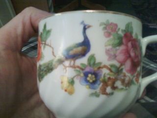 Vintage Antique Tea Cup & Saucer Set 4 Made In O.  G.  Germany Peacocks Flowers photo