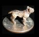 Cold Painted Bronze Micro Miniature English Bulldog Canine Dog Figurine C1890 Metalware photo 1