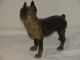 Rare Antique Cast Iron Boston Terrier Bull Dog 9 1/4 