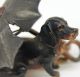 Cold Painted Vienna Bronze Dog Miniature,  2 Dogs Under Umbrella Metalware photo 2