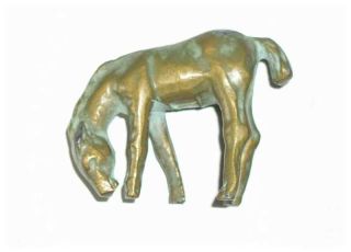 Vintage Bronze Grazing Colt Over 60 Years Old photo