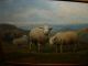 Antique Oil Painting,  { Joseph Van Leemputten,  1865 - 1948,  Sheep In The Hills}. Other photo 11