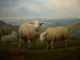 Antique Oil Painting,  { Joseph Van Leemputten,  1865 - 1948,  Sheep In The Hills}. Other photo 2