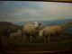 Antique Oil Painting,  { Joseph Van Leemputten,  1865 - 1948,  Sheep In The Hills}. Other photo 5