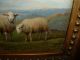 Antique Oil Painting,  { Joseph Van Leemputten,  1865 - 1948,  Sheep In The Hills}. Other photo 6