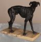European Antique 19th Century Bronze Sculpture Of A Greyhound Dog Metalware photo 1