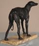 European Antique 19th Century Bronze Sculpture Of A Greyhound Dog Metalware photo 2