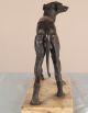 European Antique 19th Century Bronze Sculpture Of A Greyhound Dog Metalware photo 3