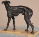 European Antique 19th Century Bronze Sculpture Of A Greyhound Dog Metalware photo 4