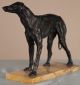 European Antique 19th Century Bronze Sculpture Of A Greyhound Dog Metalware photo 5