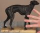 European Antique 19th Century Bronze Sculpture Of A Greyhound Dog Metalware photo 6