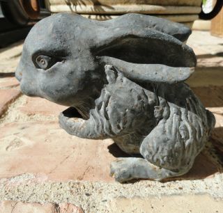 Antique Heavy Metal Rabbit 1900 ' S Lead Zinc Cast Iron Sculpture Figure Figurine photo