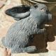 Antique Heavy Metal Rabbit 1900 ' S Lead Zinc Cast Iron Sculpture Figure Figurine Metalware photo 2