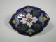 Set 5 Antique Cloisonne Enamel Conch Appliques Blue/white 36mm X 28mm Metalware photo 1