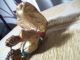 Austria Vienna Cold Painted Metal Metalware photo 1
