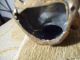 Austria Vienna Cold Painted Metal Metalware photo 2